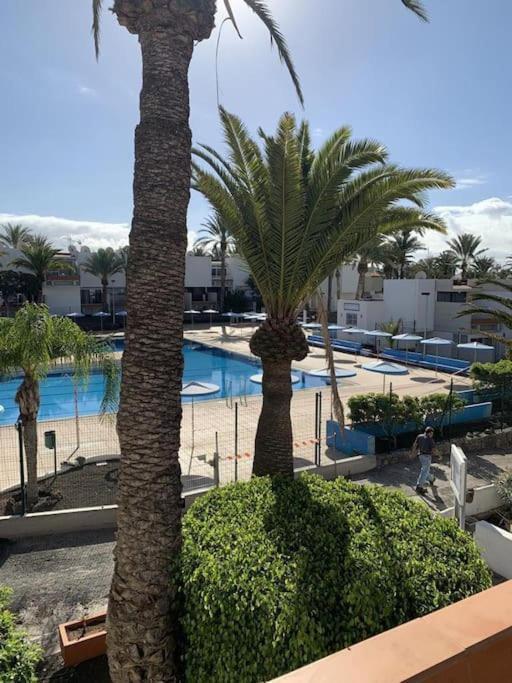 Lovely Apartment With Pool Costa del Silencio Exterior foto