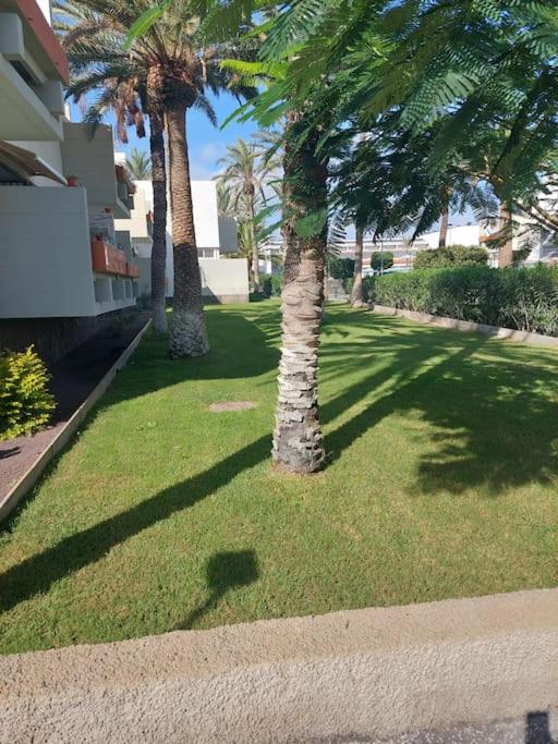 Lovely Apartment With Pool Costa del Silencio Exterior foto